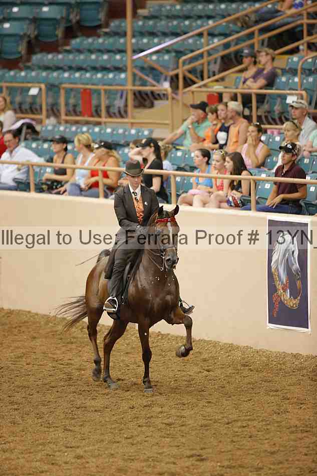 Proof 13yn_04165