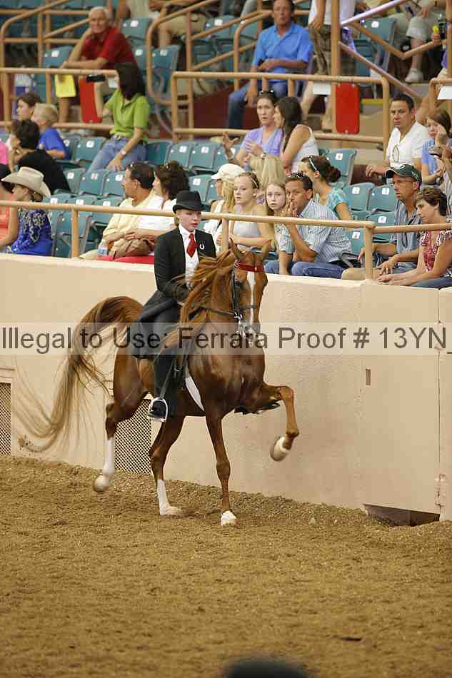 Proof 13yn_04172