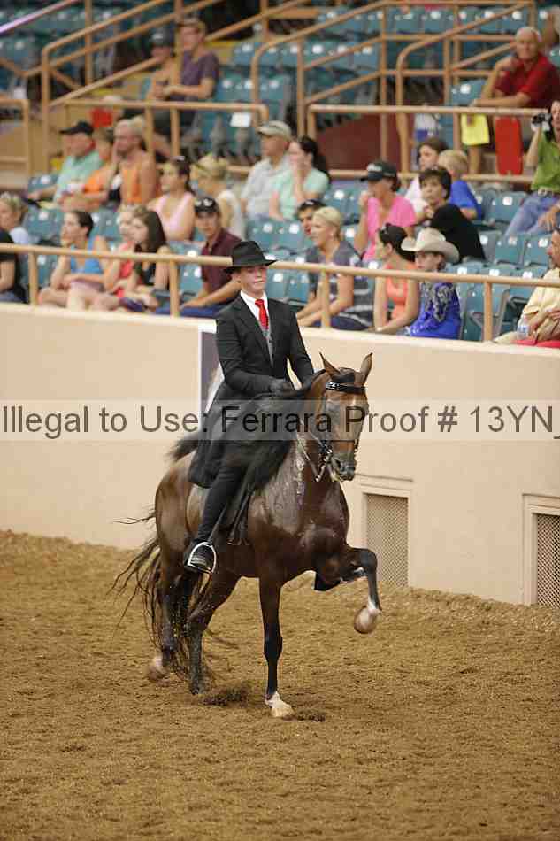 Proof 13yn_04174