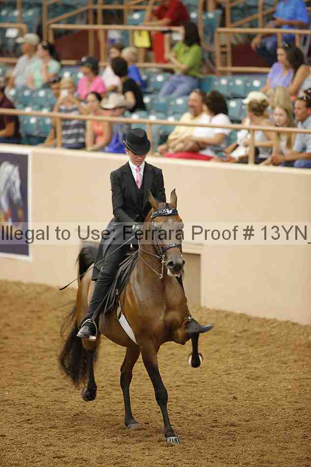 Proof 13yn_04176