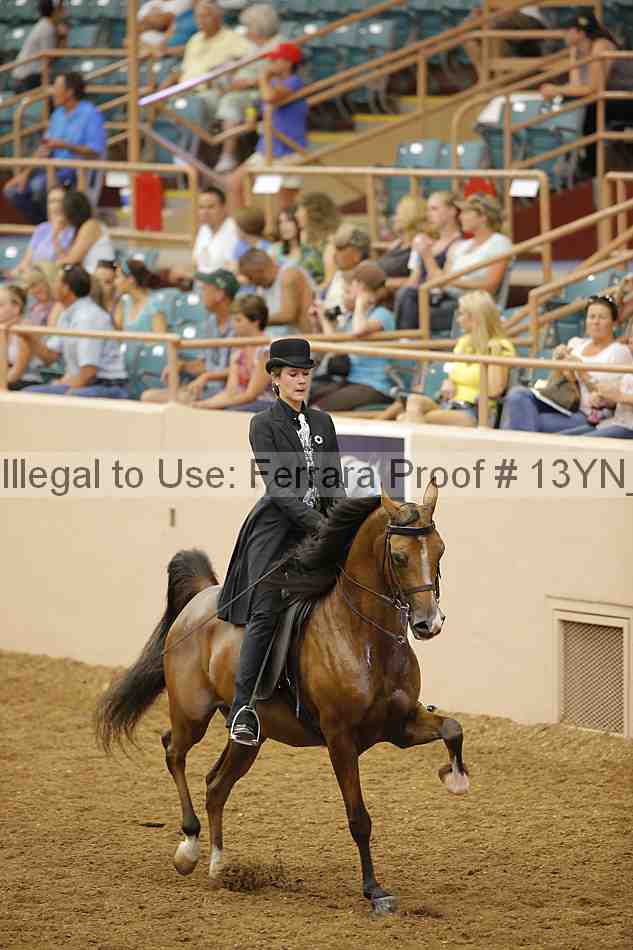 Proof 13yn_04180
