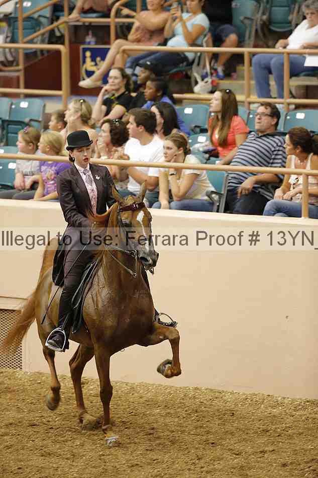Proof 13yn_04183