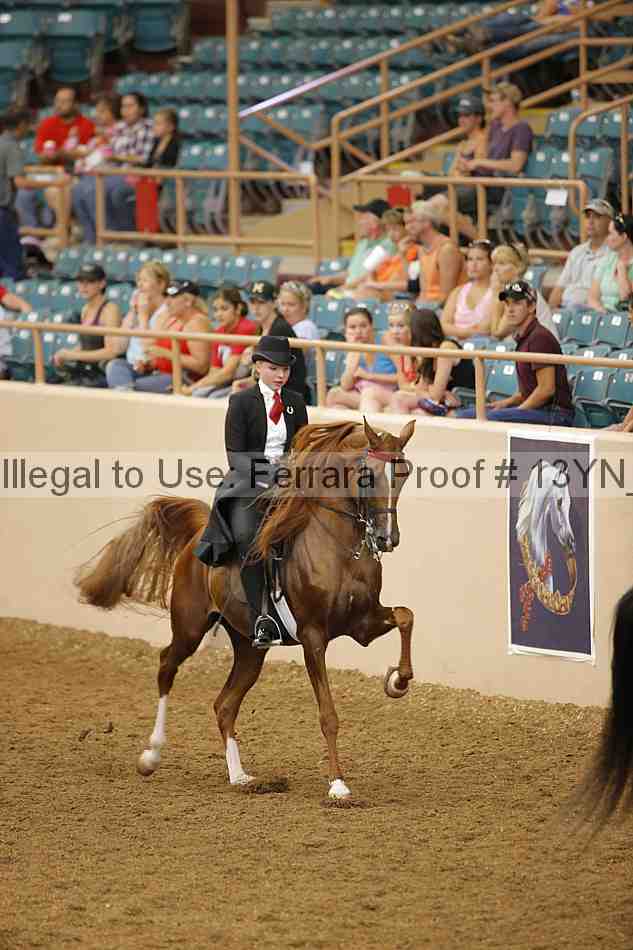 Proof 13yn_04185