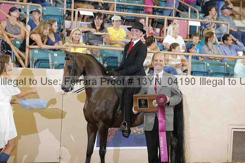 Proof 13yn_04190