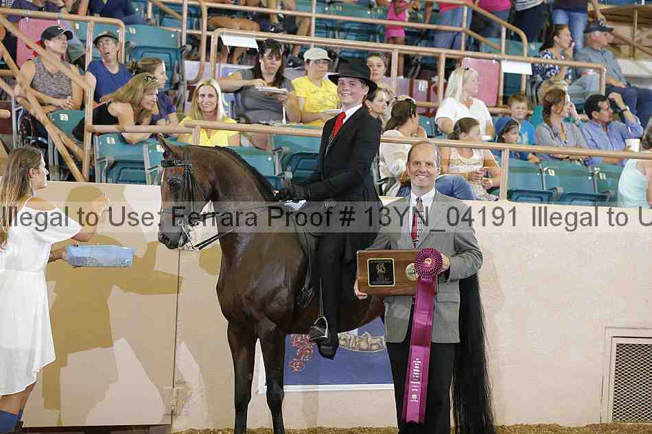 Proof 13yn_04191