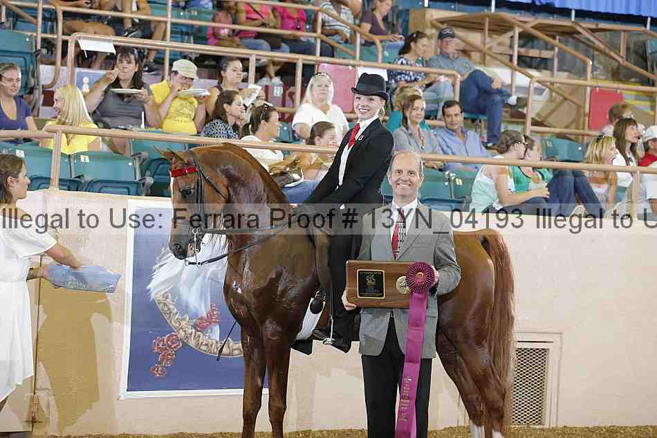 Proof 13yn_04193