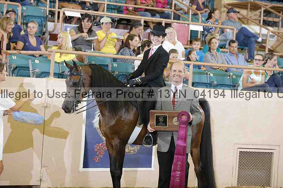 Proof 13yn_04194