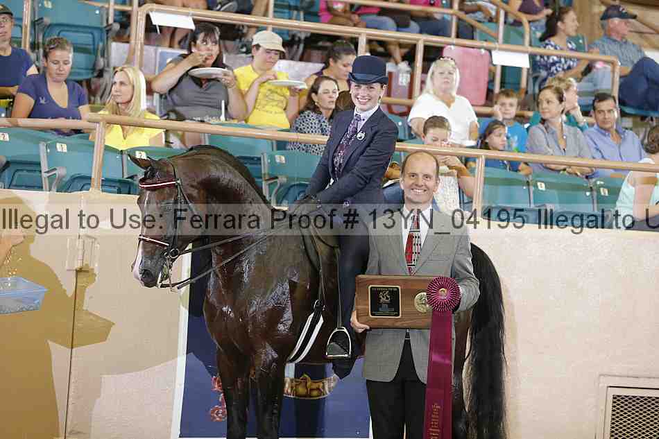Proof 13yn_04195