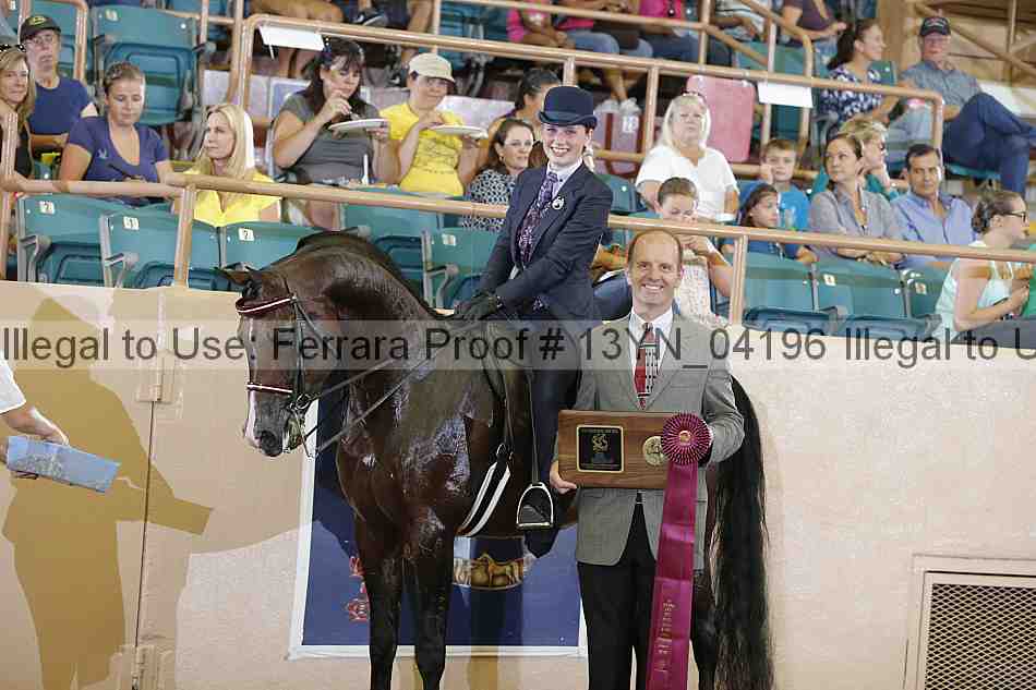 Proof 13yn_04196
