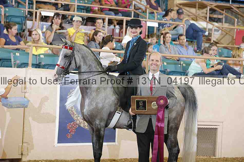 Proof 13yn_04197