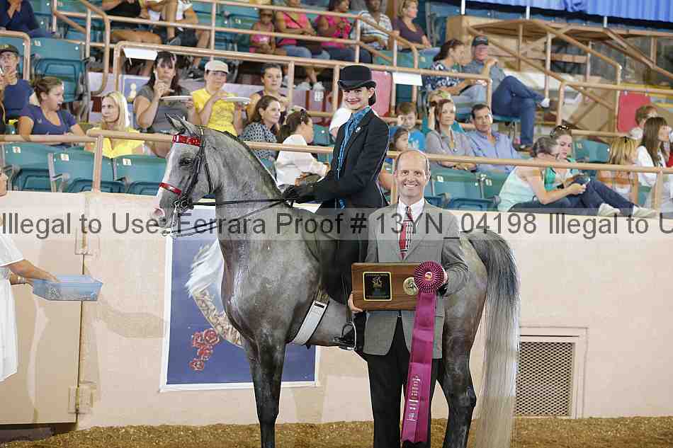 Proof 13yn_04198