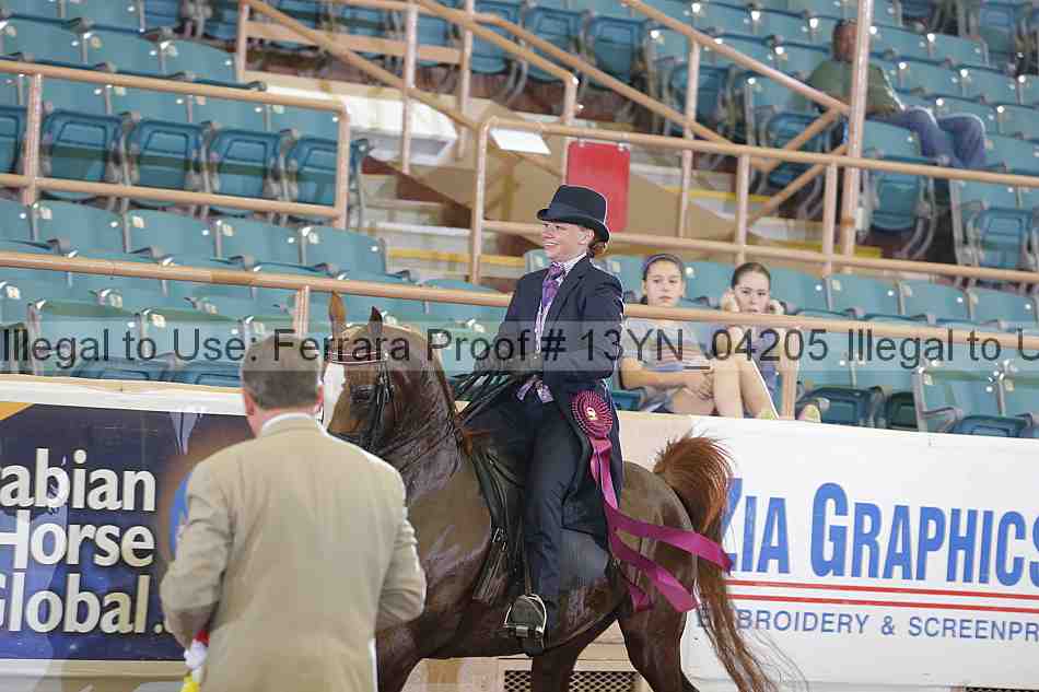 Proof 13yn_04205