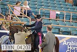 13yn_04207 proof