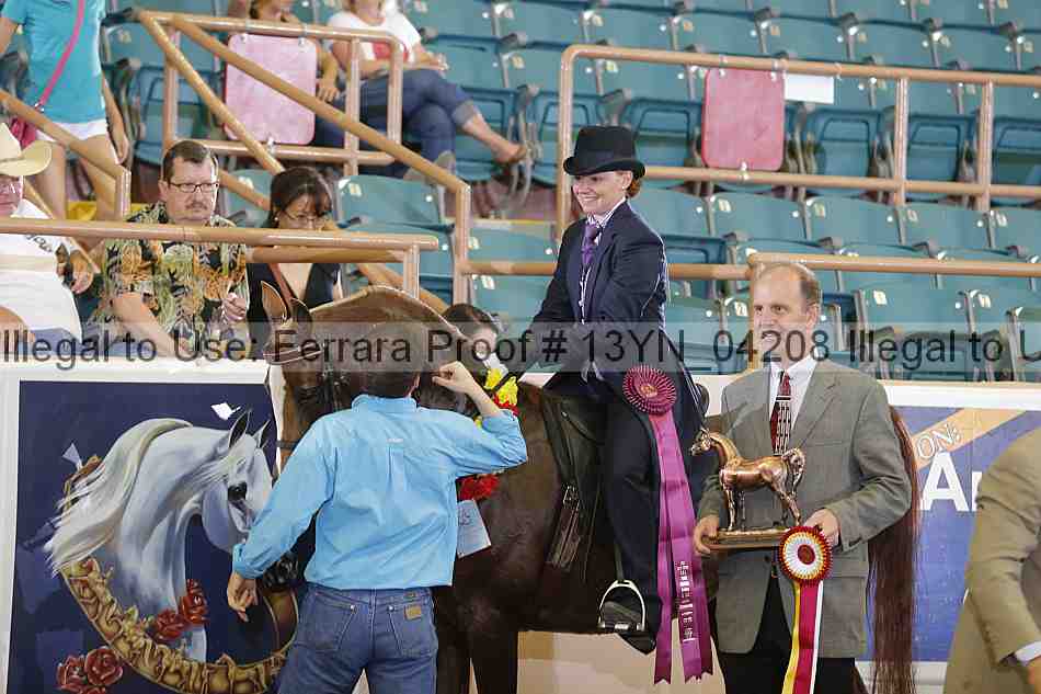 Proof 13yn_04208