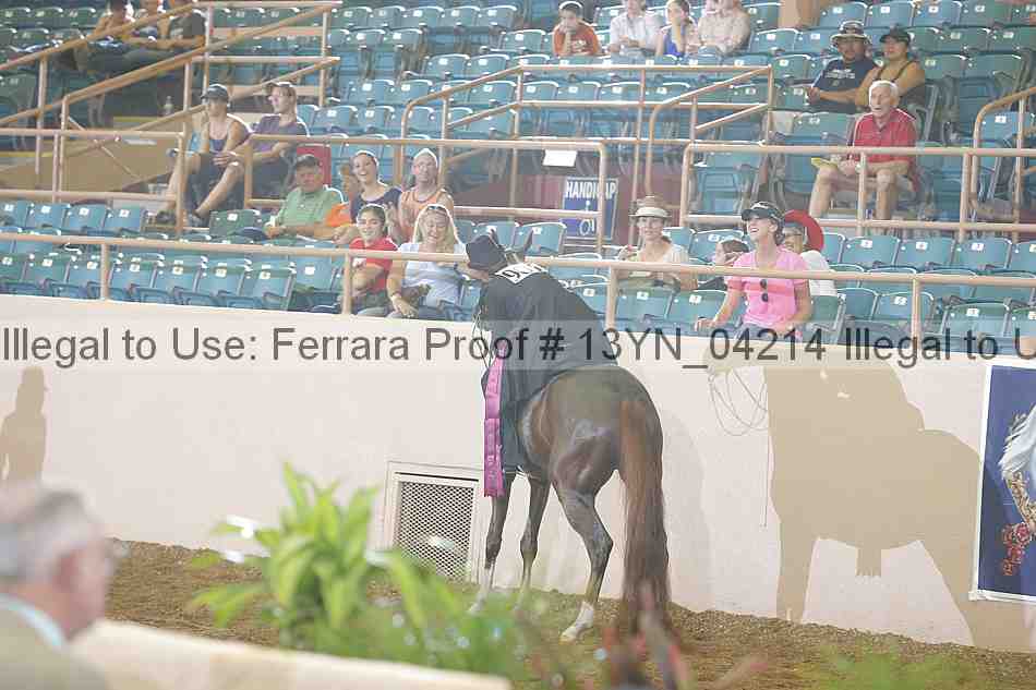 Proof 13yn_04214