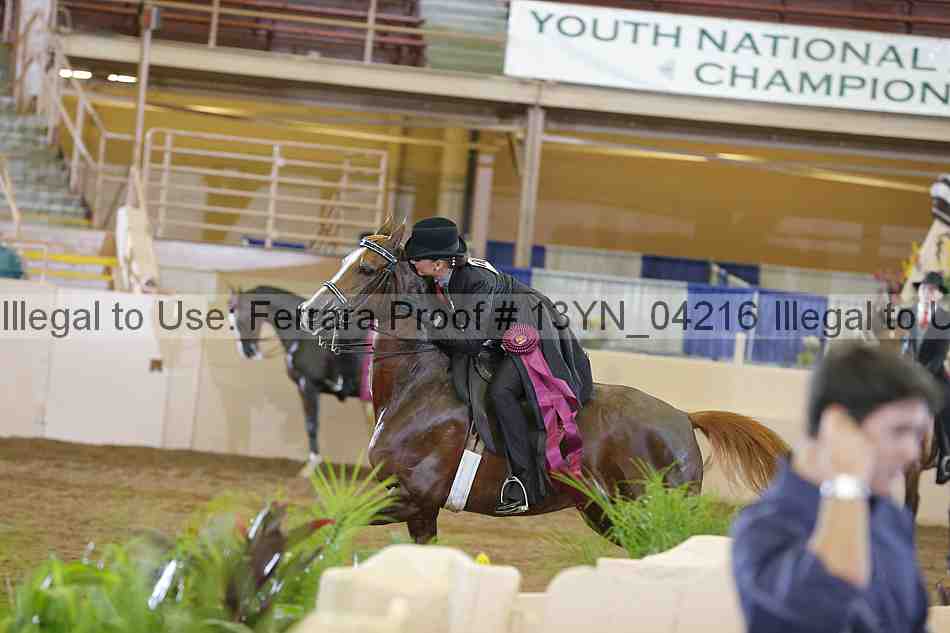 Proof 13yn_04216