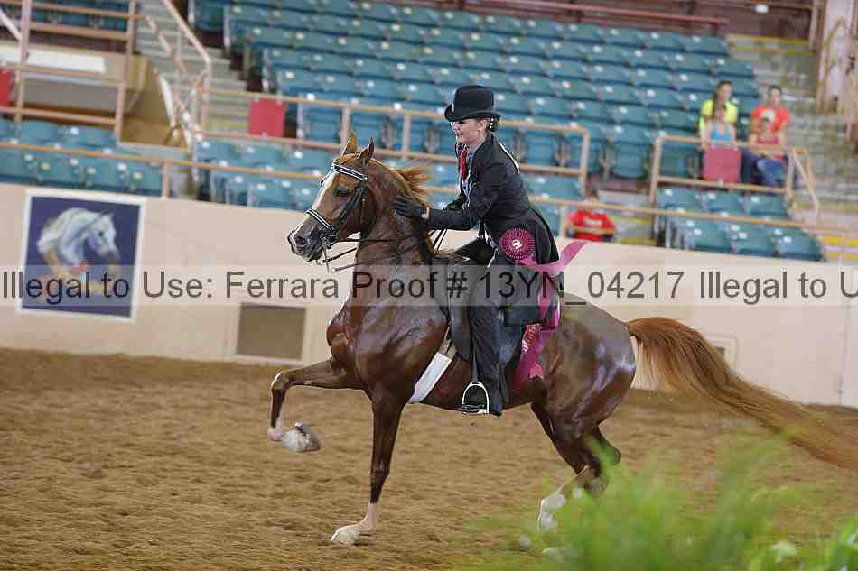 Proof 13yn_04217