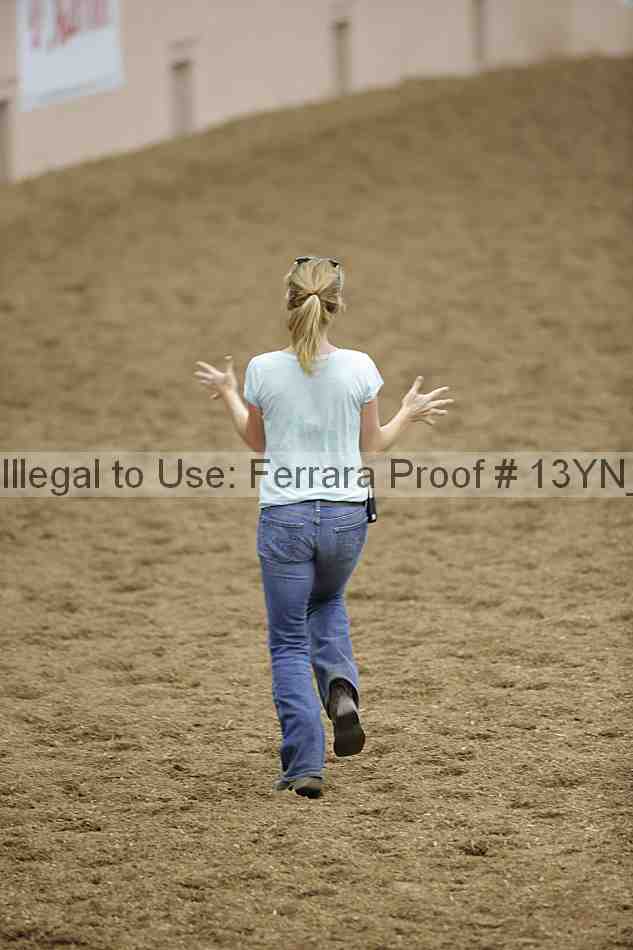 Proof 13yn_04220