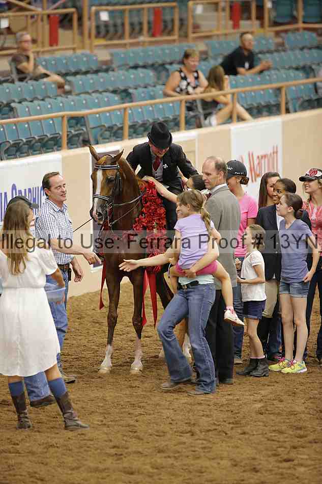 Proof 13yn_04240
