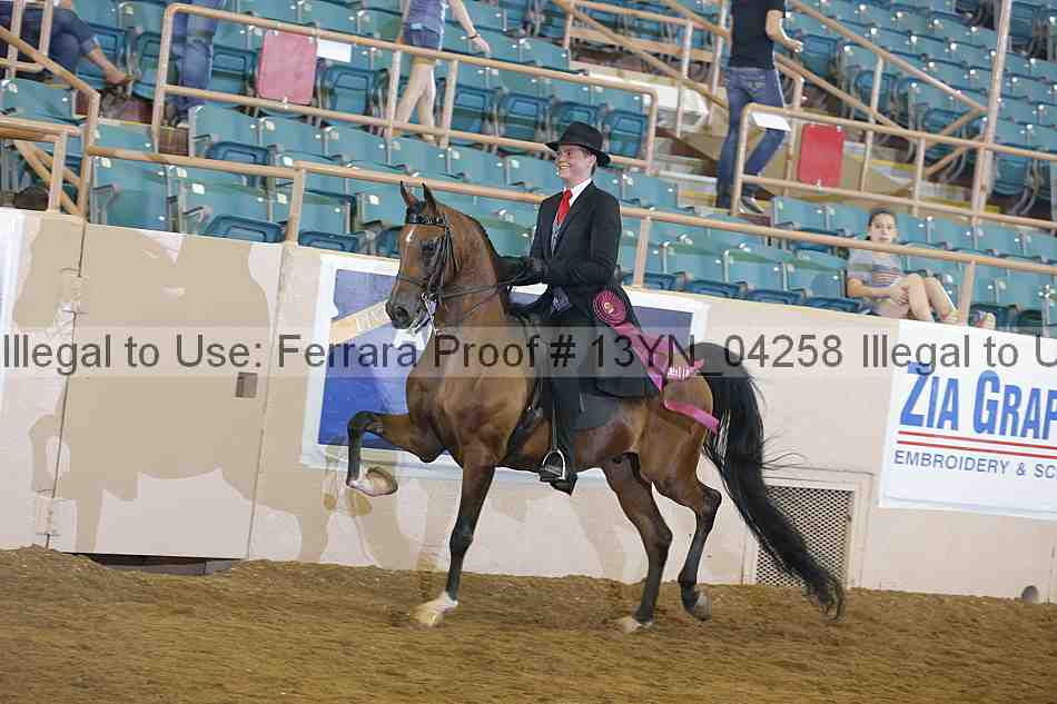 Proof 13yn_04258