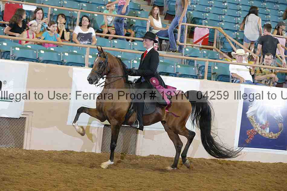 Proof 13yn_04259