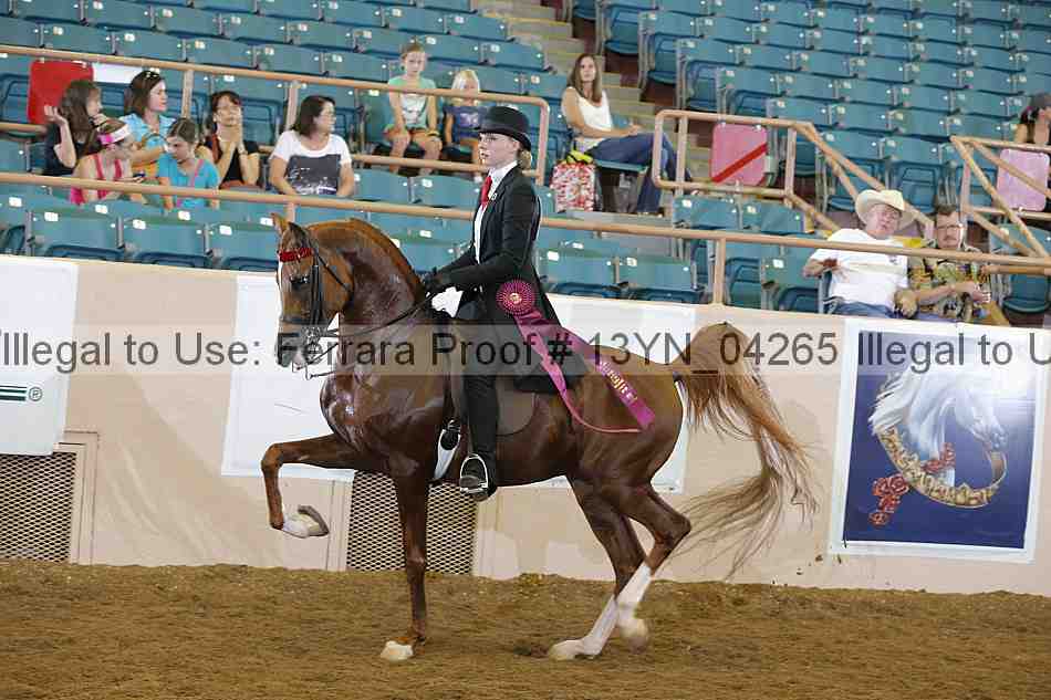 Proof 13yn_04265