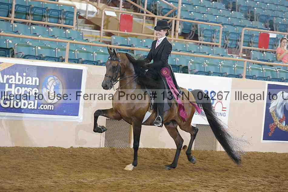 Proof 13yn_04267