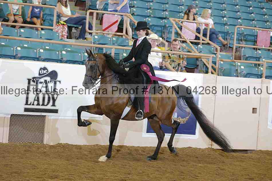 Proof 13yn_04268