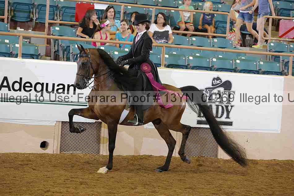 Proof 13yn_04269