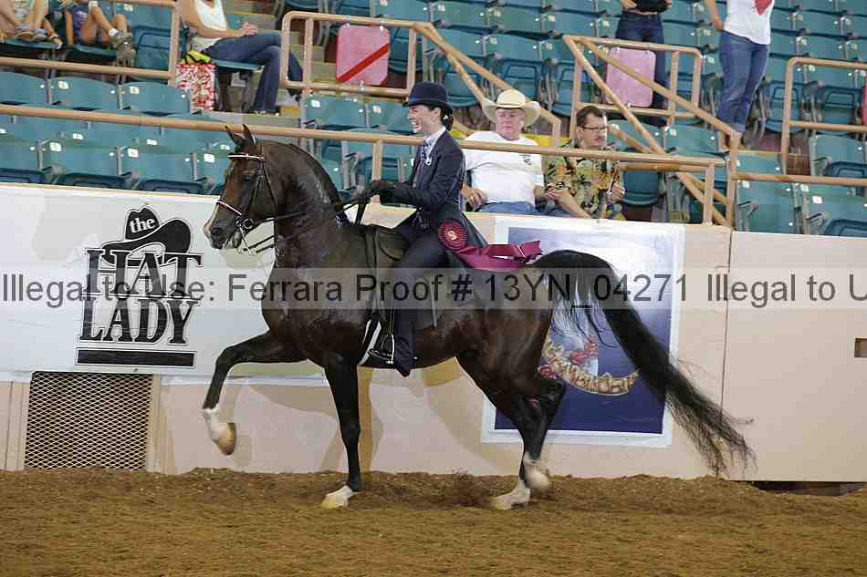 Proof 13yn_04271