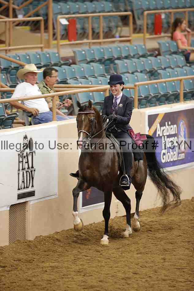 Proof 13yn_04273