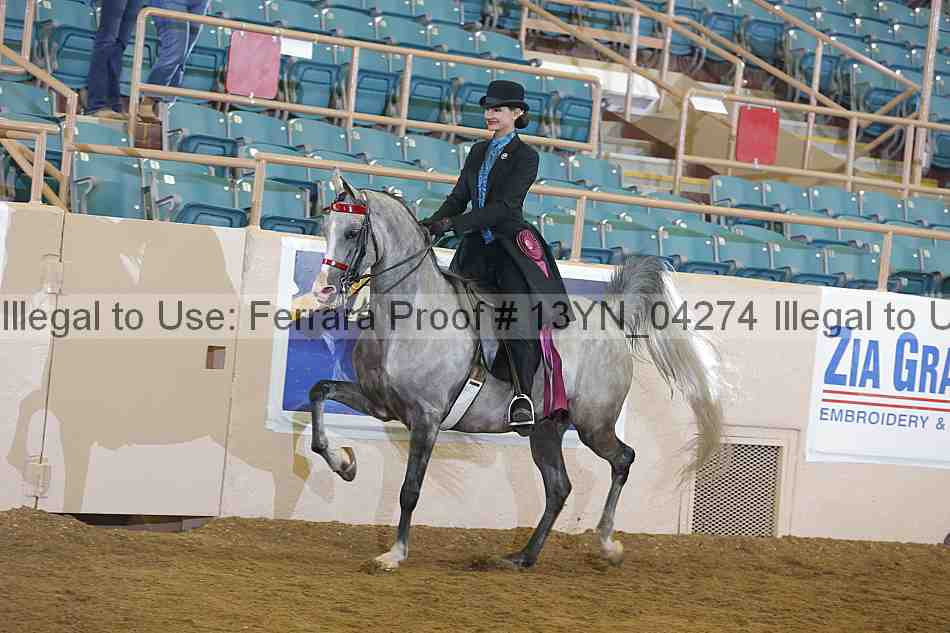 Proof 13yn_04274