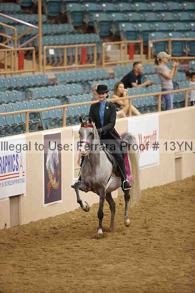 Proof 13yn_04275