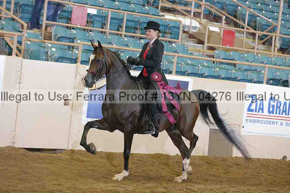 Proof 13yn_04276