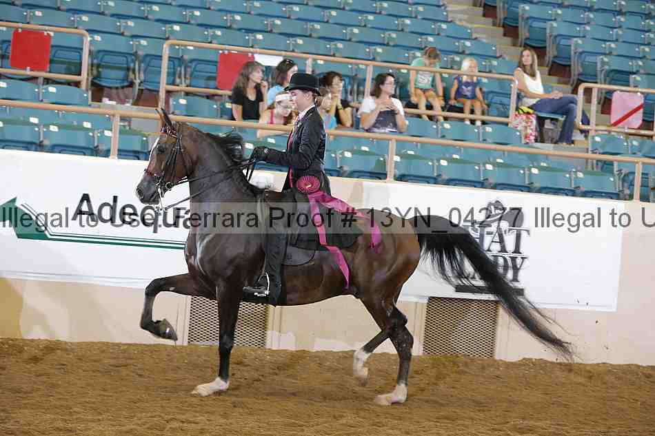 Proof 13yn_04277