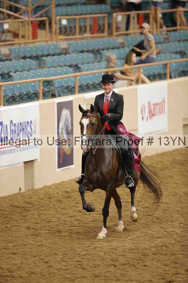 Proof 13yn_04279