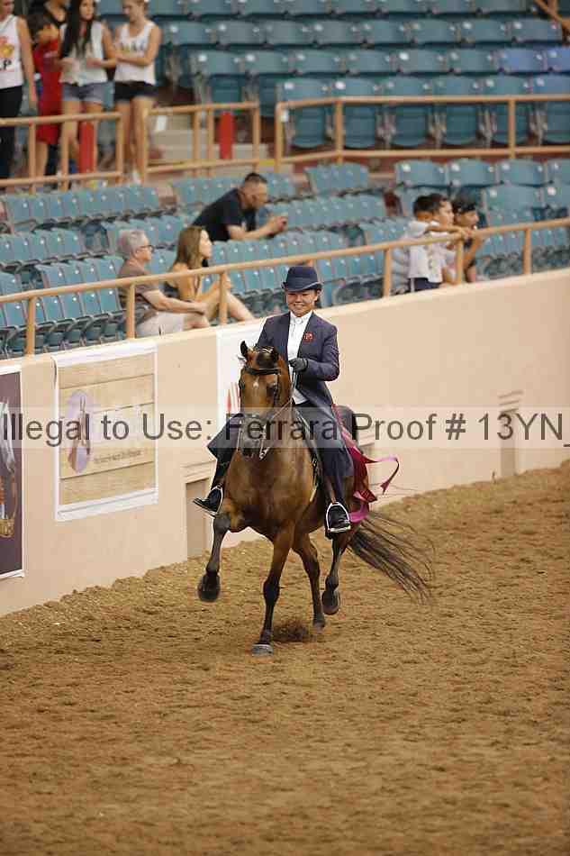 Proof 13yn_04283