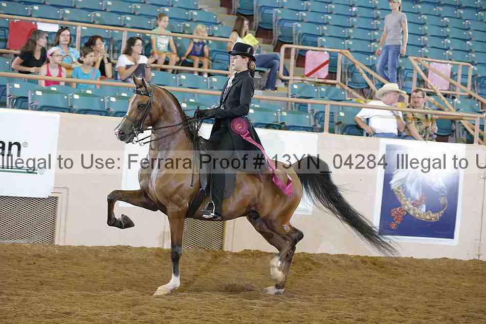 Proof 13yn_04284
