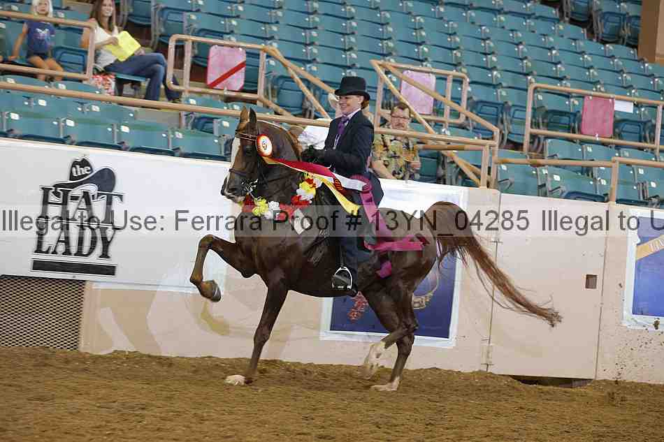 Proof 13yn_04285