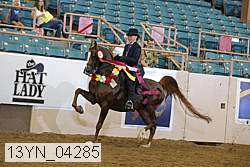13yn_04285 proof