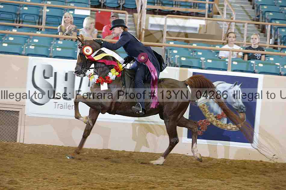 Proof 13yn_04286