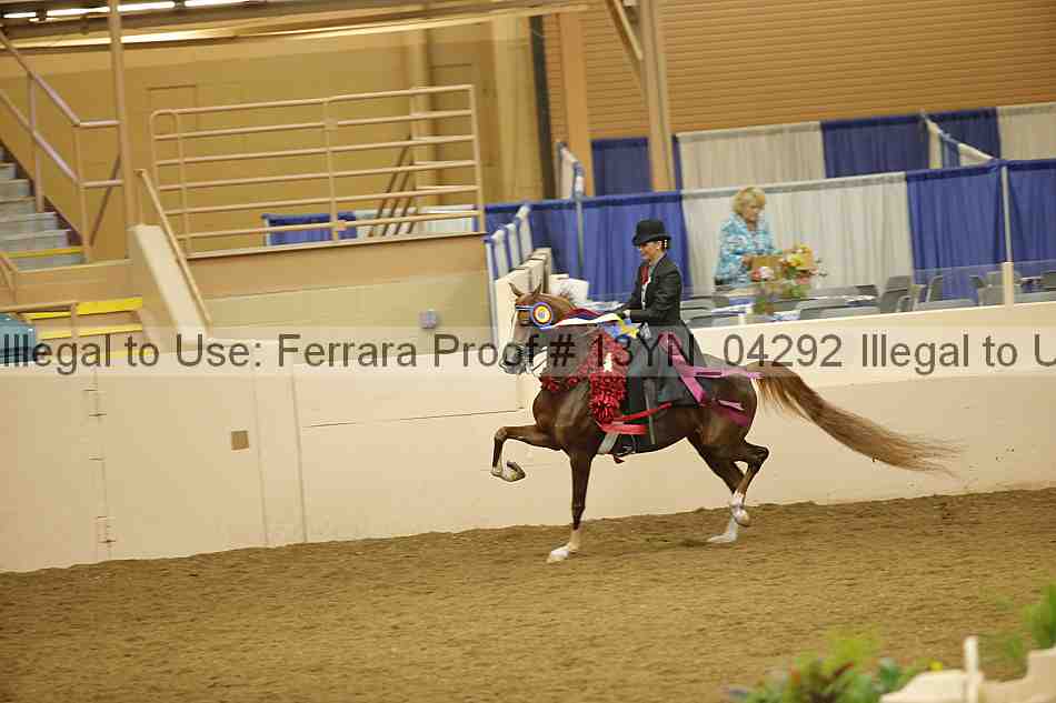 Proof 13yn_04292