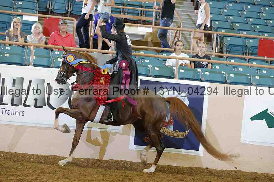 Proof 13yn_04294
