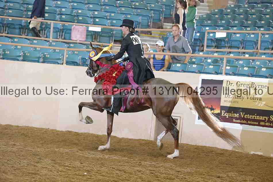 Proof 13yn_04295