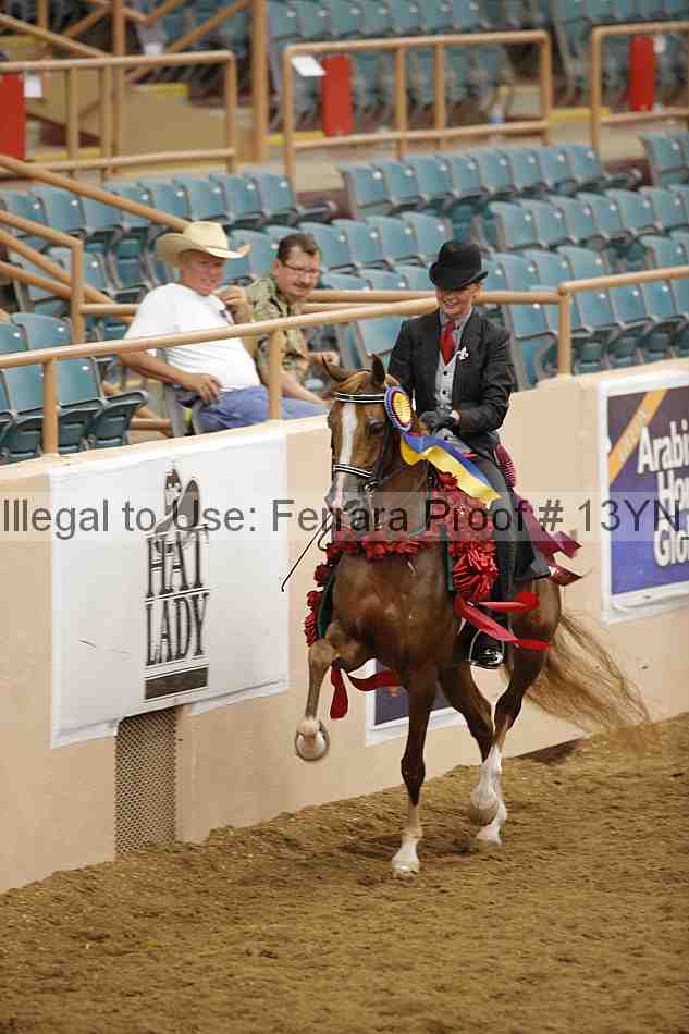 Proof 13yn_04296