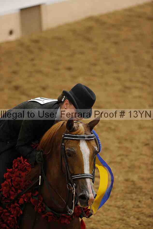Proof 13yn_04303