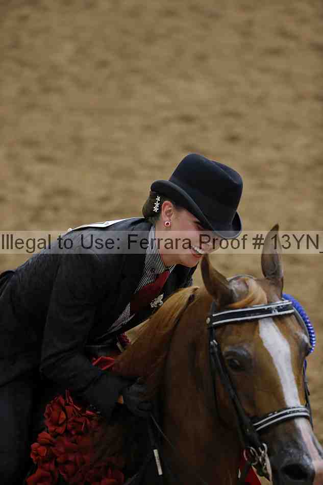 Proof 13yn_04305