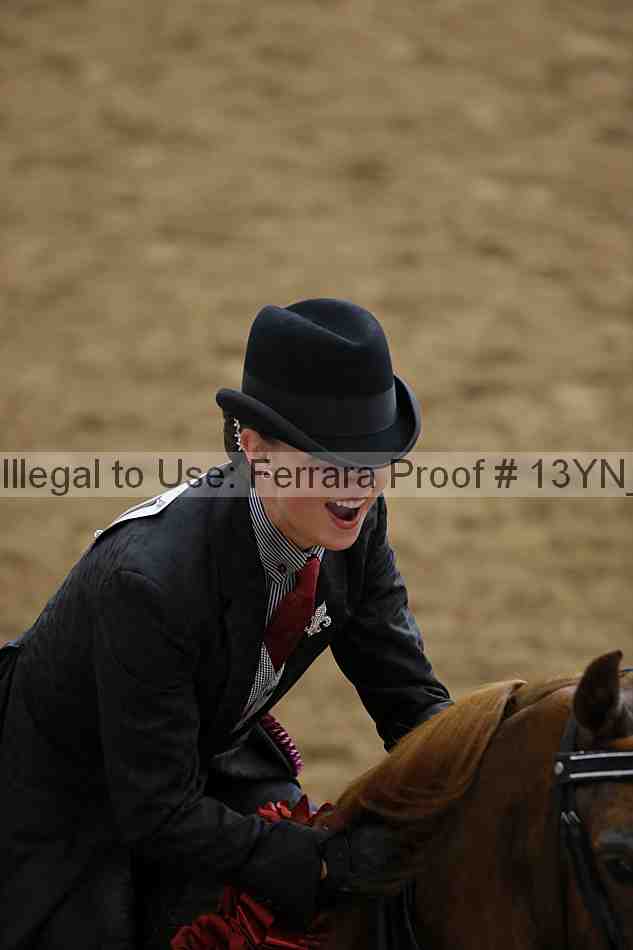 Proof 13yn_04306