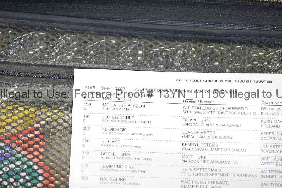 Proof 13yn_11156