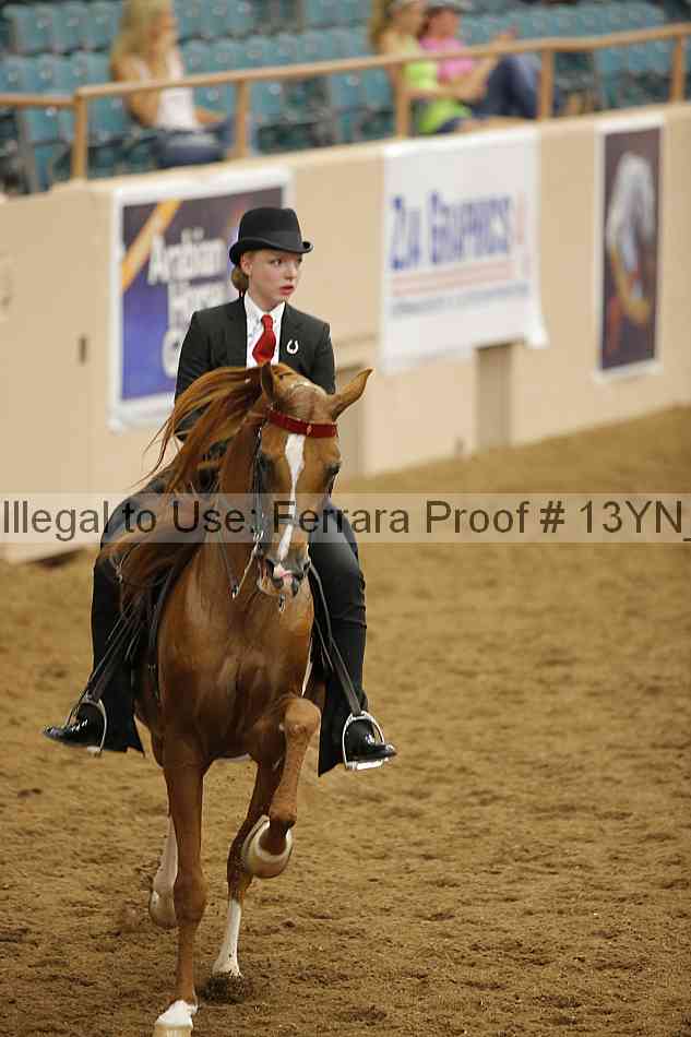 Proof 13yn_11177